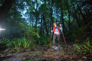 BIB: 
                            <button type="button" onclick="openModal(19241656)" class="btn btn-primary btn-sm float-right btn-popup" data-toggle="modal" data-target=".modal-high-quality">
                        <i class="fas fa-shopping-cart"></i> Add to Cart
                    </button>
                                            <button type="button" onclick="isThisMe(19241656, true)" class="btn btn-success btn-sm float-right btn-popup btn-isme hidden" data-toggle="tooltip" data-placement="bottom" title="นี่คือรูปของคุณใช่ไหม คลิกที่นี่เพื่อเอาเข้าอัลบั้ม">
                        <i class="fas fa-plus"></i> Add to album
                    </button>
                    <button type="button" onclick="isThisMe(19241656, false)" class="btn btn-warning btn-sm float-right btn-popup btn-isnotme hidden">
                        <i class="fas fa-ban"></i> Remove from album
                    </button>